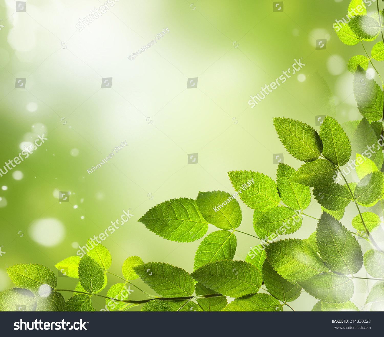 植物矢量树叶绿叶v植物素材矢量图桌面绿色背景壁纸1500_13室内设计要用什么笔记本图片