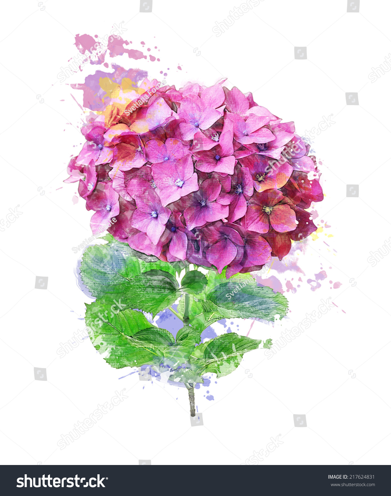 数字油画水彩的绣球花花-自然-海洛创意(hellorf)--.