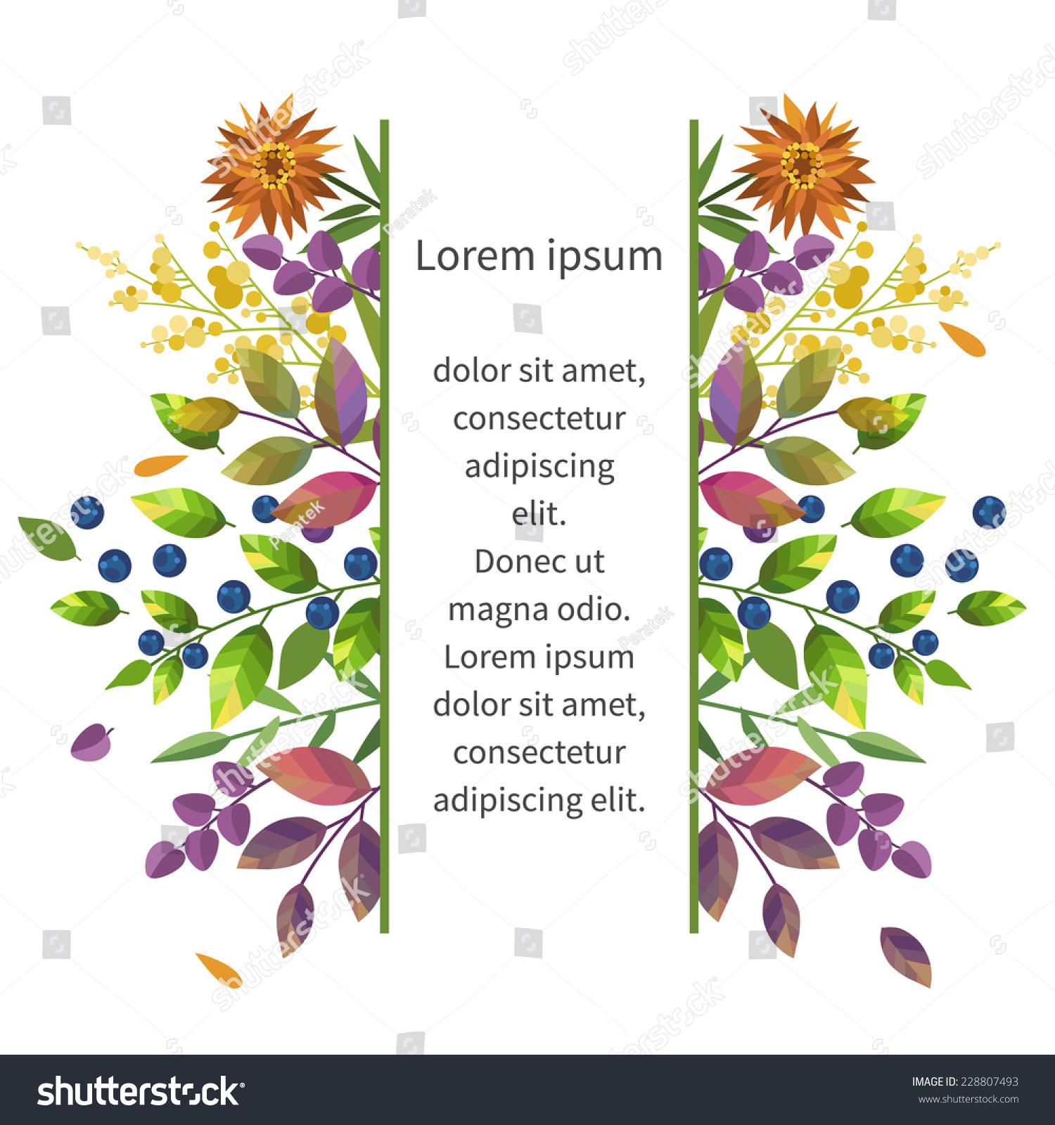 vector illustration 版权:peratek 图片id:228807493 所属分类