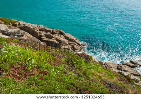 top view of green slope rocky shore and turquoise ocean water.