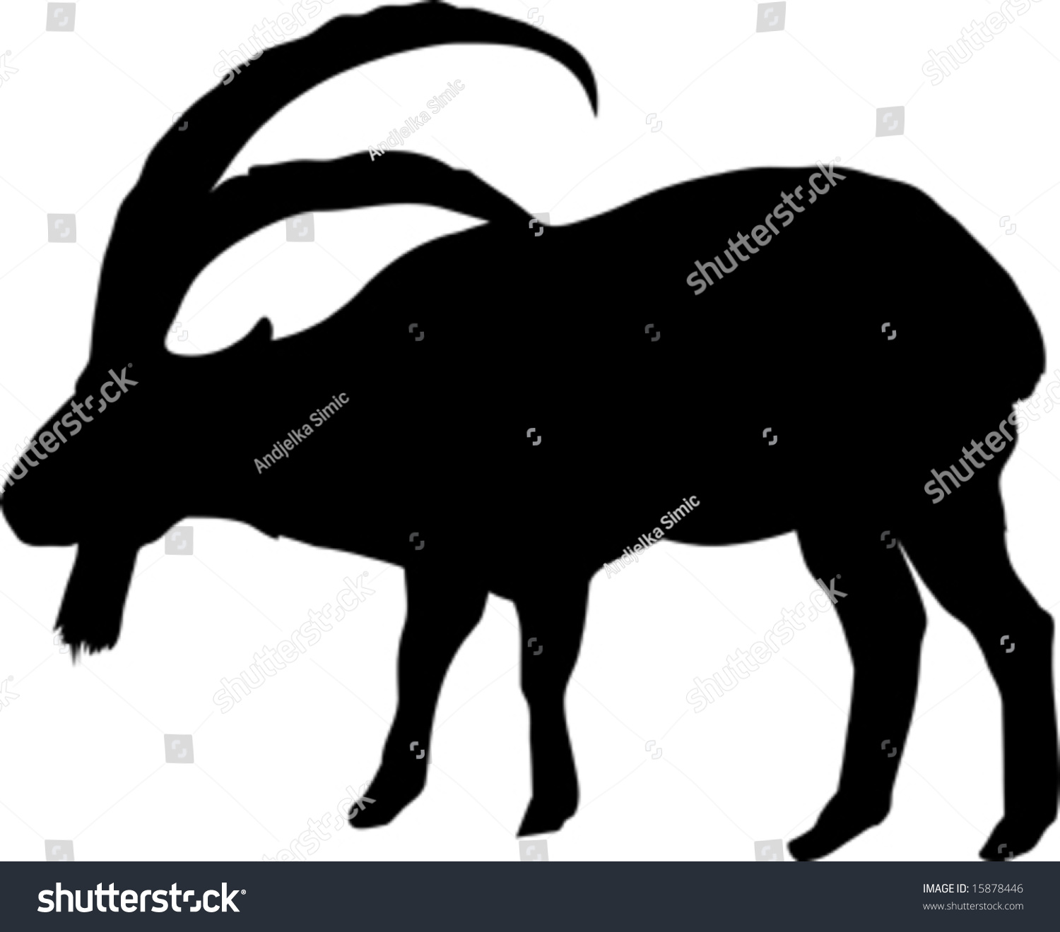 原标题 silhouette of goat isolated on white 版权:andjelka simic