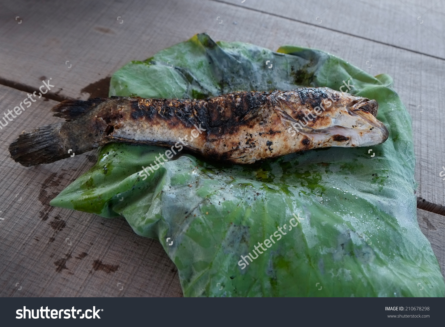 稻草烤鱼在荷叶- ca loc nuong trui在越南,典型的越南菜.