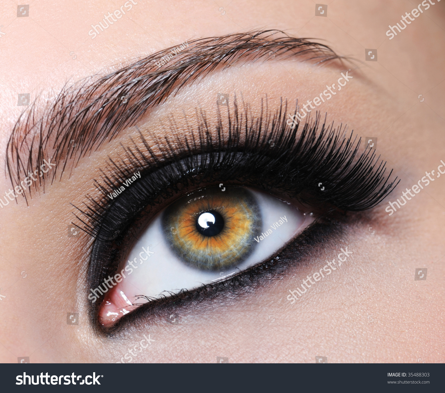 女性与明亮的黑眼睛化妆和长睫毛